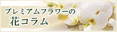 プレミアムフラワーの花ブログ