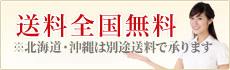 送料全国無料 