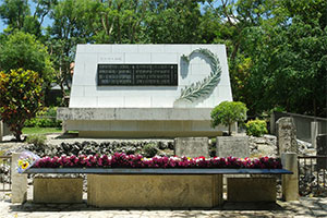 第22回 ヒメユリの花と学徒隊 健気な姿と悲しい定め 胡蝶蘭専門店プレミアムフラワー 公式 通販 販売 法人ギフト対応