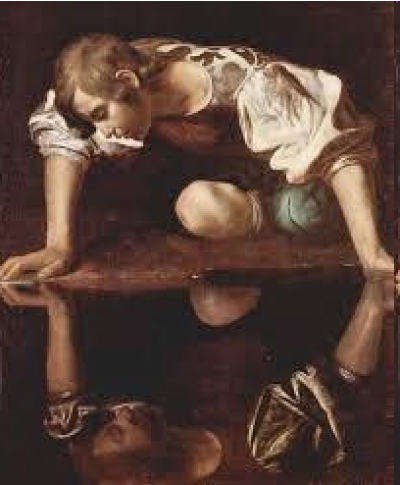 第28回 花によって香る高さは違う 水仙は 胡蝶蘭専門店プレミアムフラワー 公式 通販 販売 法人ギフト対応