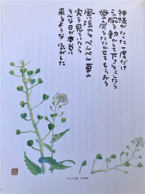 第30回 ぺんぺん草にも花はある ナズナからのエール 胡蝶蘭専門店プレミアムフラワー 公式 通販 販売 法人ギフト対応 第30回 ぺんぺん草にも花はある ナズナからのエール 胡蝶蘭専門店プレミアムフラワー 公式 通販 販売 法人ギフト対応