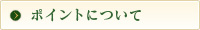 ポイントについて