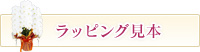ラッピング見本