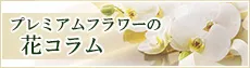 プレミアムフラワーの花ブログ