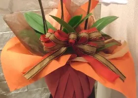 オレンジ